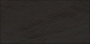 AVENUE NEGRO 30X60.jpg