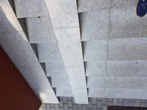 20190822_080753.jpg