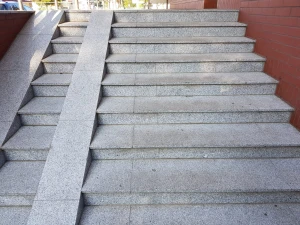 20190822_080801.jpg