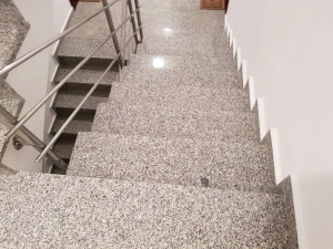 20180623_224251.jpg