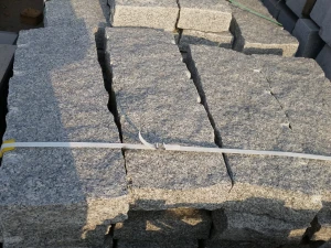 20160308_152358.jpg