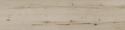 leg-fres01.jpg