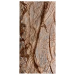 Płytka marmurowa Rain Forest Brown szczotkowana 61x30,5x1,2 cm