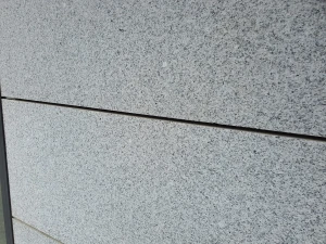20210827_164745.jpg
