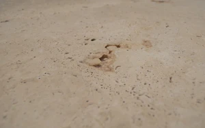DSC_0186.JPG
