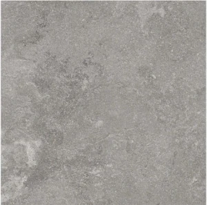 Płytka gresowa Ragno Realstone Lunar Silver XT20 50x100